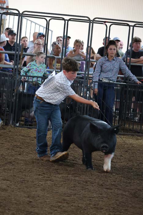 Boy guides a black pig with a rope inside a dirt arena as spectators watch from behind metal fences in a livestock show setting.