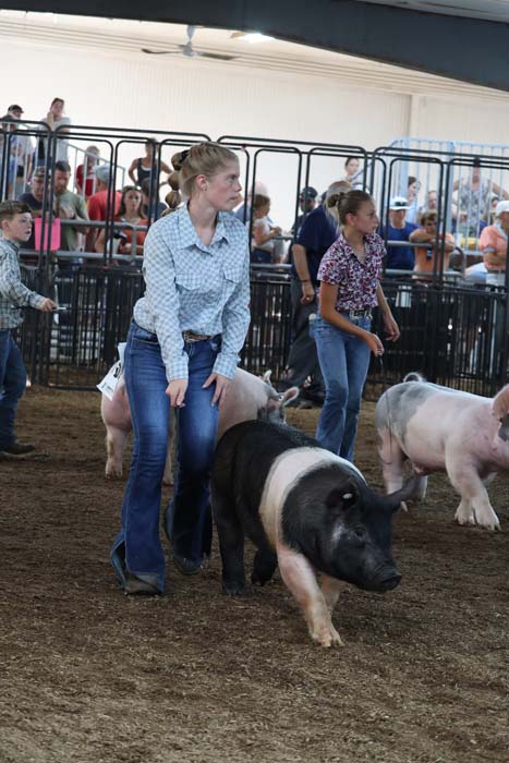 Woman in a blue plaid shirt guiding a black-and-white pig at a livestock show, with spectators and pens in the background.