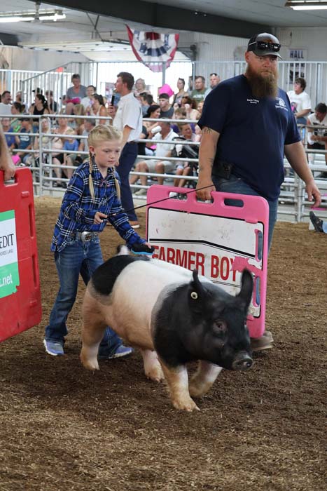 Young boy in a plaid shirt leads a black-and-white pig through a show ring, with a man in a blue shirt nearby and a pink barrier labeled 'Farmer Boy' behind them.