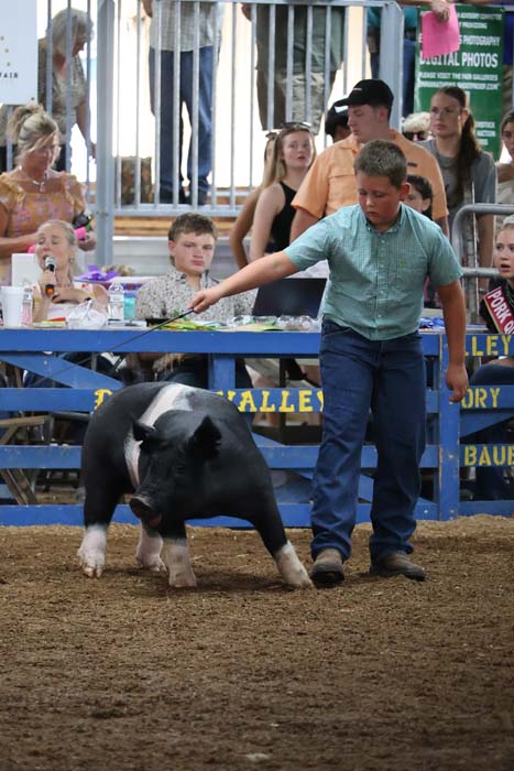 Boy leading a pig in a livestock show ring as spectators watch from behind a railing on a dirt arena floor while others look on.