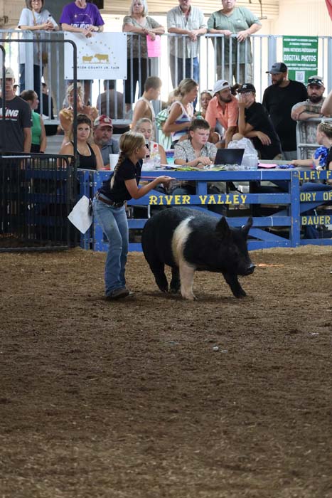 Young girl leads a black-and-white pig in a ring at a crowded livestock show, spectators behind a blue fence.