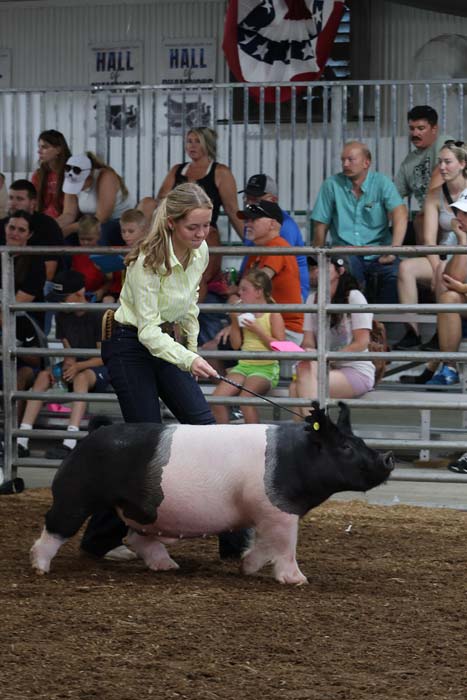Young girl guides a black-and-white pig in a livestock show ring while spectators watch from bleachers.