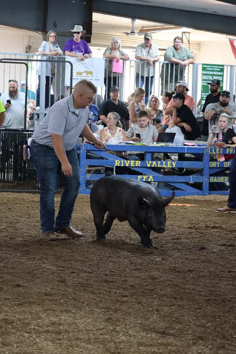 Man guiding a black pig in an indoor arena as a crowd watches from behind a fence.