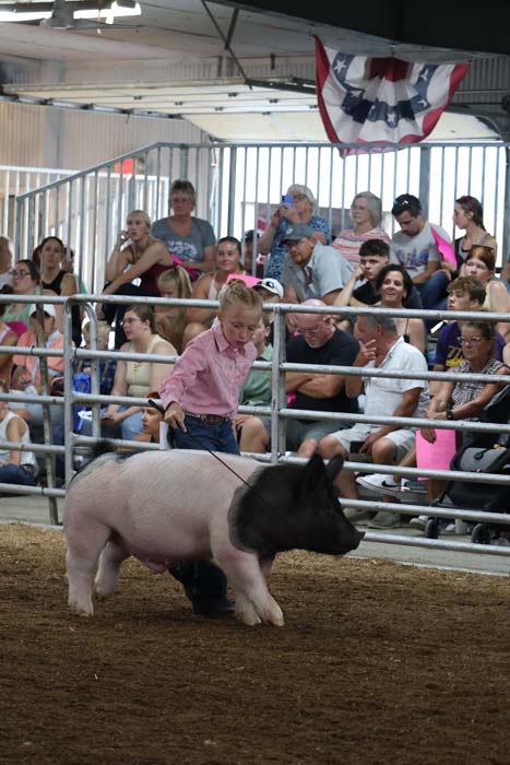 Young girl in a pink shirt leads a large black-and-white pig in a fenced arena at a livestock show, with a crowd watching from stands.