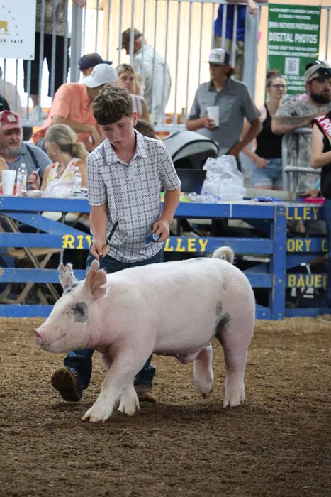 Young man leading a large pink pig in a dirt arena at a livestock fair, spectators watching behind a blue railing.