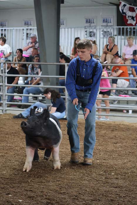 Young man in a blue plaid shirt leads a black-and-white pig across a dirt arena, with spectators watching from metal bleachers.