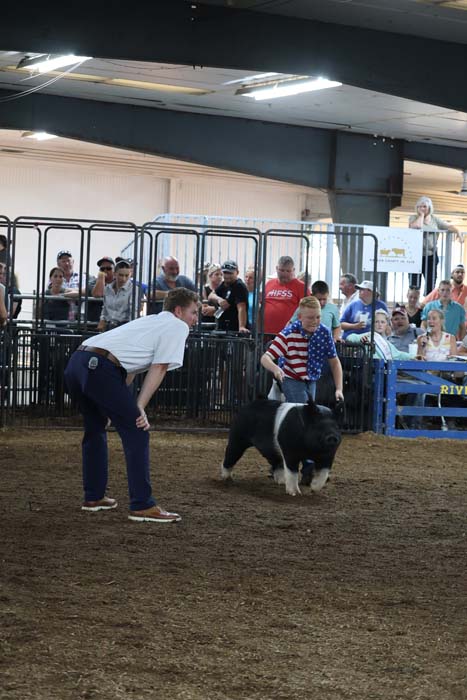 Man crouches beside a black-and-white dog performing in an indoor show ring while spectators stand behind a fence.