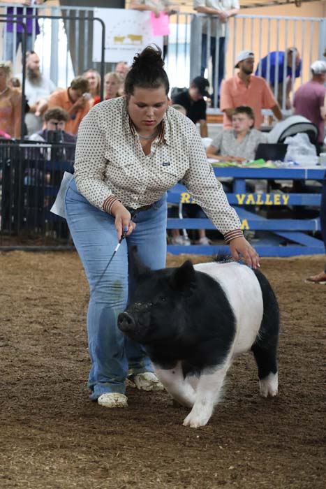Woman in a polka-dotted shirt leads a black-and-white pig with a stick inside a show ring, spectators watching from behind fences.