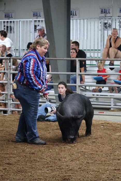 Person in a blue striped jacket leads a small black pig in a dusty arena with spectators in bleachers nearby.
