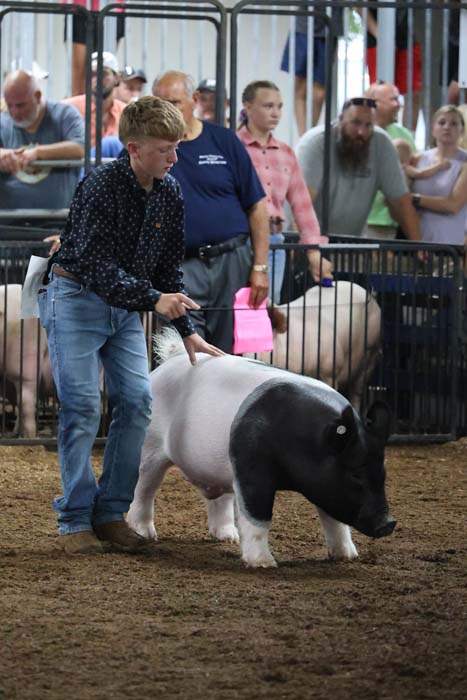 Young man guides a black-and-white pig in a show ring as spectators watch behind a fence.