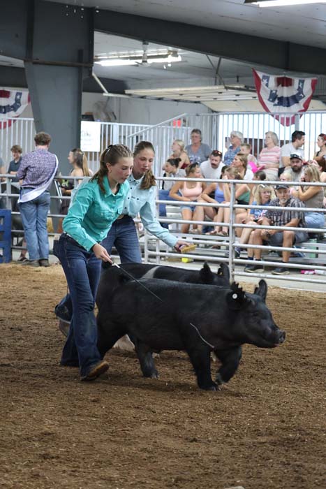 Two women steer a black pig on a leash in an indoor livestock arena while spectators watch from the bleachers.