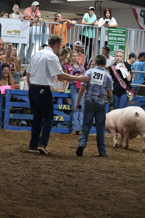 Judge in a white shirt speaks to a contestant wearing number 291 in a pig show ring while a pig stands nearby and spectators watch from the stands behind barriers.