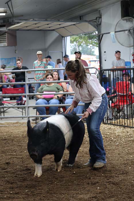 Girl leading a black and white pig in a show ring at a fair, audience seated and watching in the background.