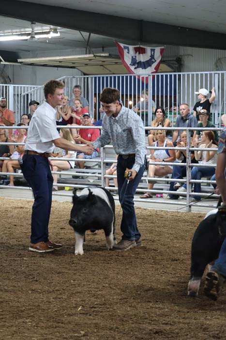 Two men shake hands in a rodeo-style ring while a small pig stands between them and a crowd watches from the stands behind a railing.