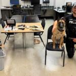 Police officer in tactical vest kneels beside a seated police dog in a room with an evidence table showing cash, bags, and other seized items laid out.",