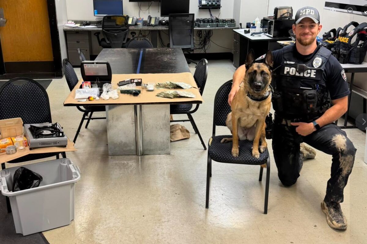 Police officer in tactical vest kneels beside a seated police dog in a room with an evidence table showing cash, bags, and other seized items laid out.",