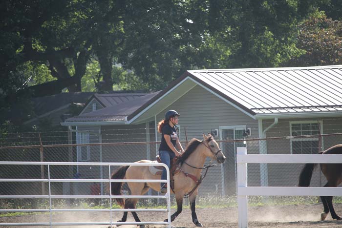 A person wearing a helmet rides a light brown pony in an outdoor arena, with a white fence and a house in the background.