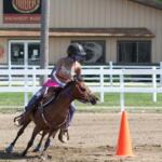 Rider in helmet guiding a brown horse around an orange cone in a dirt arena.