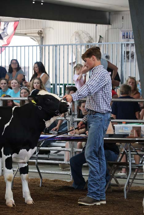 Young man in a plaid shirt guides a black-and-white dairy cow at a livestock show with a crowd watching in the background.