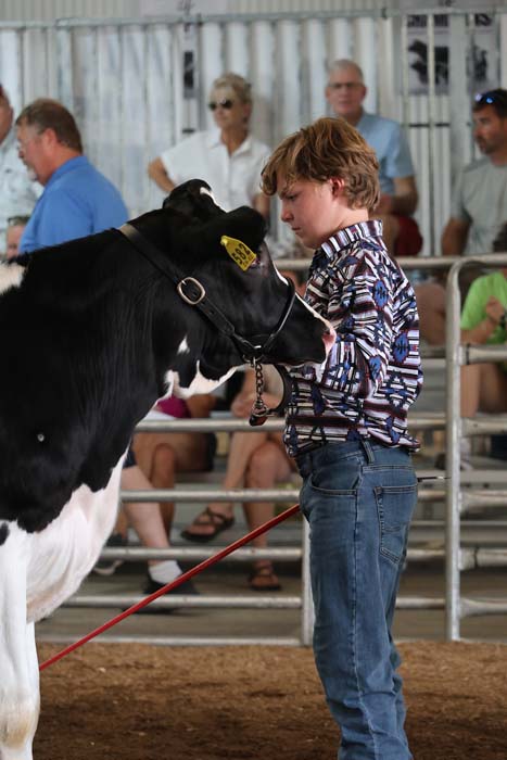 Young boy in a patterned shirt and jeans holds the halter of a black-and-white cow at a livestock show, with spectators seated in the background.