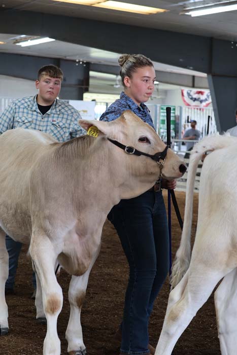Young woman guiding a light-colored calf with a halter at a livestock show, with a boy observing in the background.