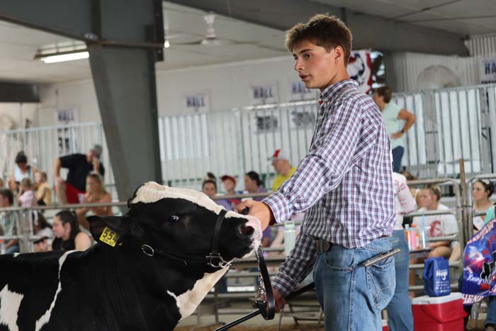 Young man in a plaid shirt leads a black-and-white dairy cow at a livestock show, with spectators in the background.