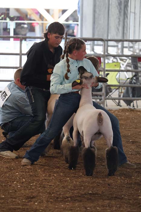 Children and a dog in a show ring, with a girl holding a light-colored dog while two other kids assist nearby.