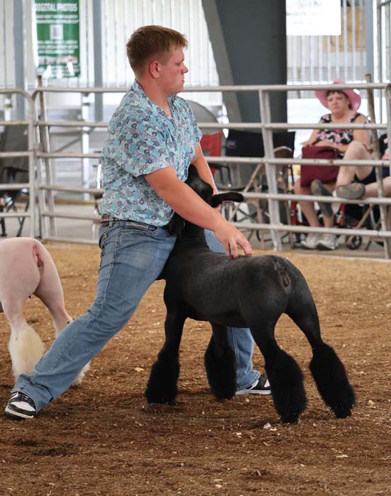 Man in a blue floral shirt guides a groomed black standard poodle in a dirt show ring, with spectators in the background.