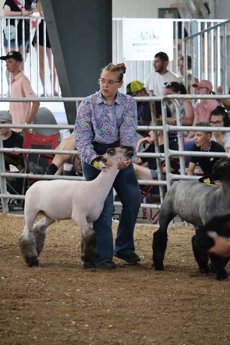 Woman guiding a white sheep by the head in a crowded livestock arena with spectators behind a railing.