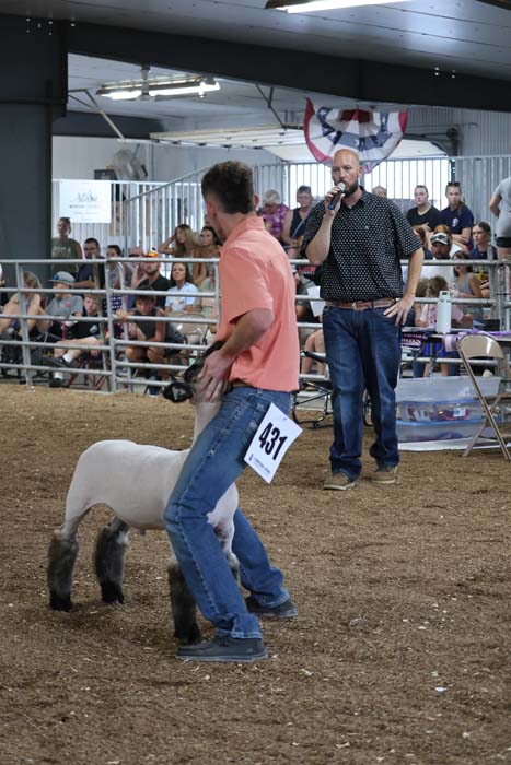 Man guiding a small sheep with tag 437 in a busy livestock arena, while an announcer speaks into a microphone in the background.