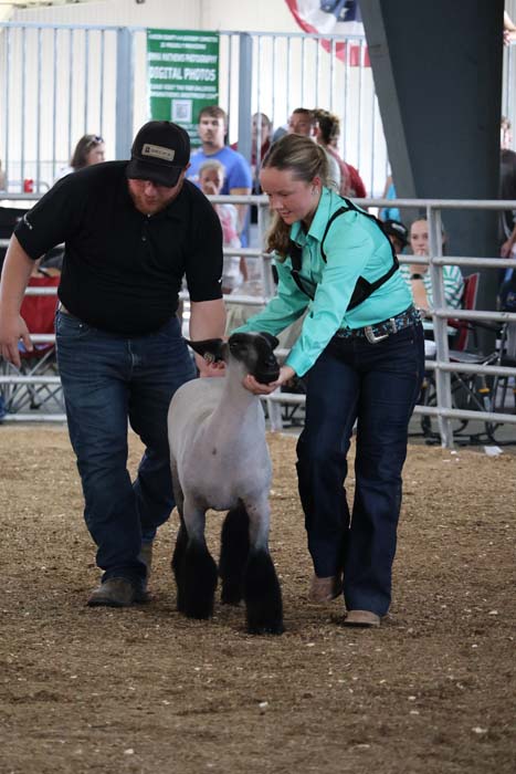 Two handlers guide a sheep across a dirt arena, crowd watching in the background.