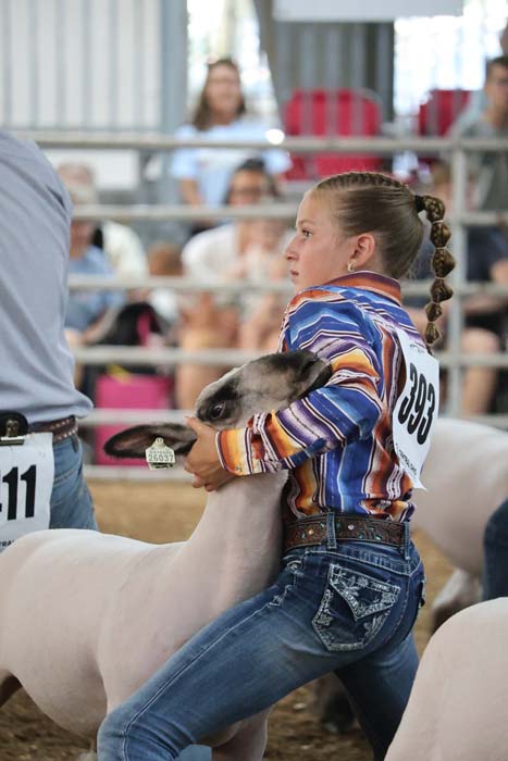 Girl in a bright striped shirt with a braided ponytail holds a sheep in a livestock show arena, spectators in the background.