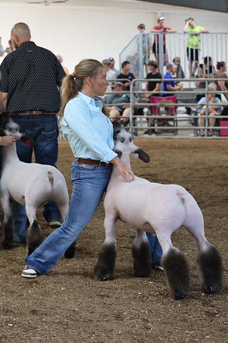 Woman in a light blue shirt and jeans guiding a white poodle with dark legs in a dog show ring, with spectators in the background.