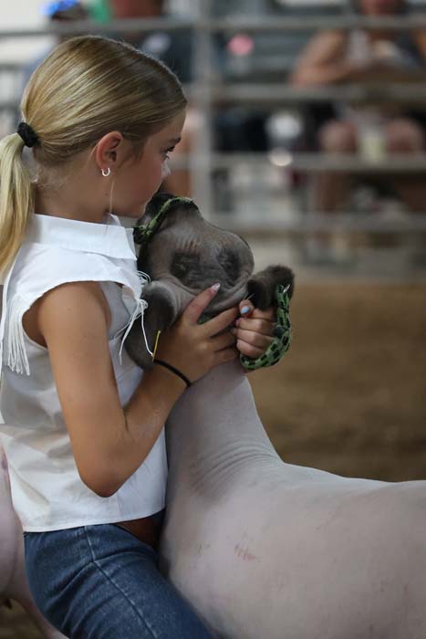 Girl in a white sleeveless shirt gently holds a lamb's head at an animal show/ fairground event.