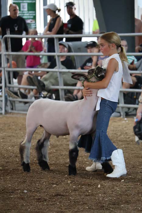 Young girl in a white sleeveless top and jeans holds a white sheep in a show ring with spectators in the background.