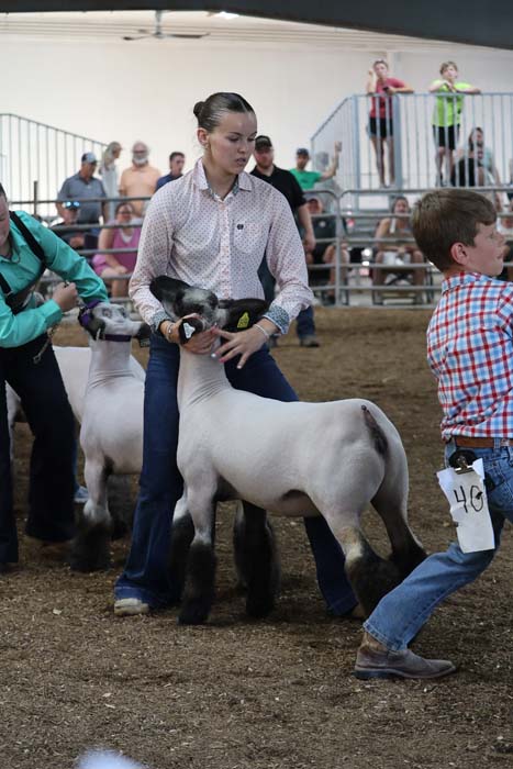 Young woman guiding a white sheep in a show ring at a livestock competition, with spectators watching.