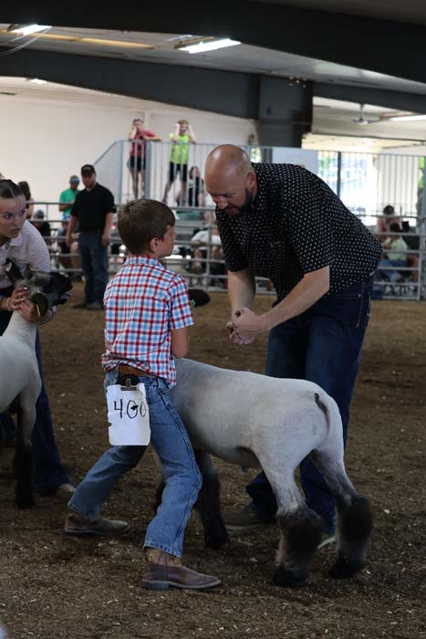 Boy in a plaid shirt with a number tag leads a small white sheep as a man helps guide the animal’s head in a crowded indoor livestock show.