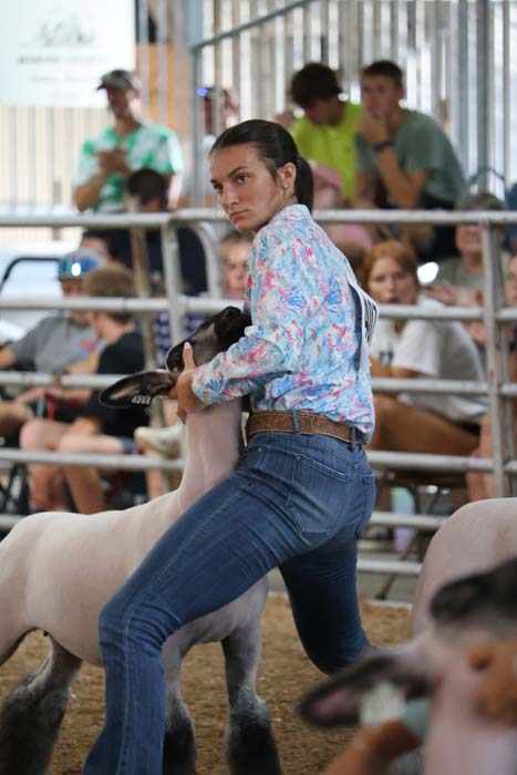 Woman exhibitor in jeans and a floral shirt leads a sheep in a show ring, with spectators watching behind metal rails.