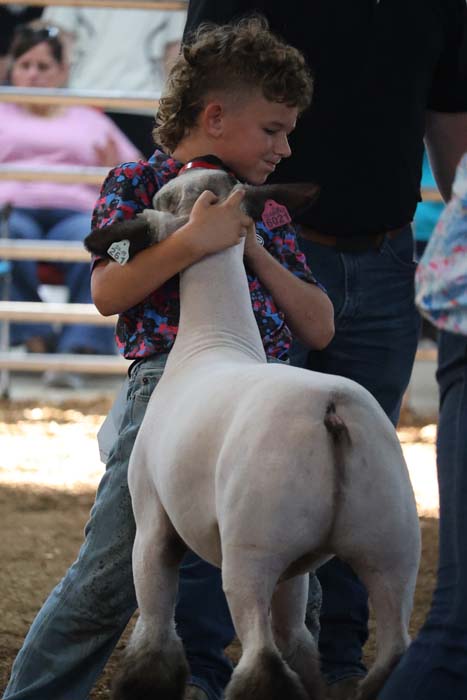Boy in a colorful shirt hugs a white lamb in a pen at a livestock show arena.