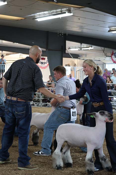 Judge shakes hands with a contestant at an indoor sheep show; a white sheep stands nearby as a smiling handler watches in the background.