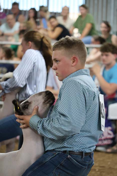 Boy in a blue checkered shirt holding a goat at a livestock show, contestant number 14, with a crowded audience in the background.