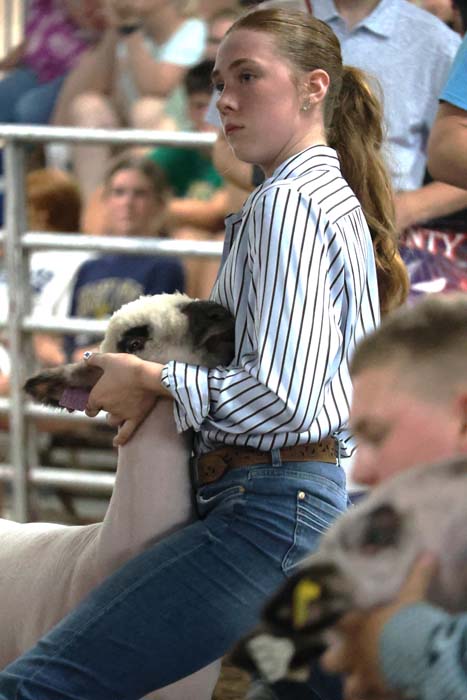 Young woman in a striped shirt holding a lamb at a livestock show, with spectators in the background.