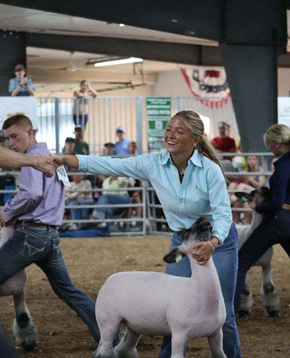 Smiling woman in a light blue shirt guides a white sheep in a livestock show ring while shaking hands with a man behind her.