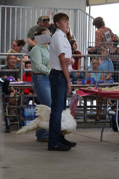 Boy in a white shirt and jeans stands beside a large white turkey at a poultry show, with spectators sitting behind a metal railing in the background.