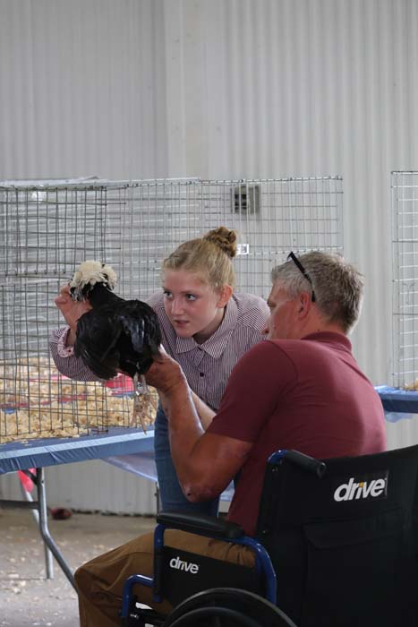 Young woman in a striped shirt shows a black chicken to a man in a wheelchair at a poultry exhibit pen behind a wire cage.