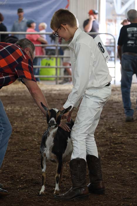 Boy in a white rodeo outfit with number 8 pets a small goat inside a dirt livestock arena as spectators watch in the background.