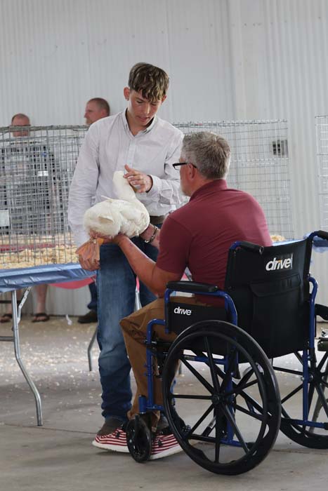 Young man in a white shirt helps a man in a wheelchair hold a white chicken at a pet show.”, “Two men at a pet demonstration: one standing, one in a wheelchair, passing a chicken between them.”, “Man in a maroon shirt in a wheelchair receives a chicken from a standing helper at an event.”
