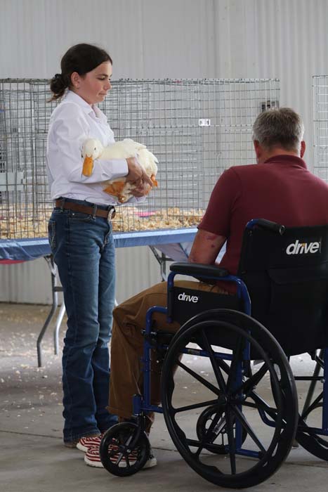 Woman in a white shirt holds a white duck beside a man in a wheelchair at a pet adoption event, with cage enclosures in the background.