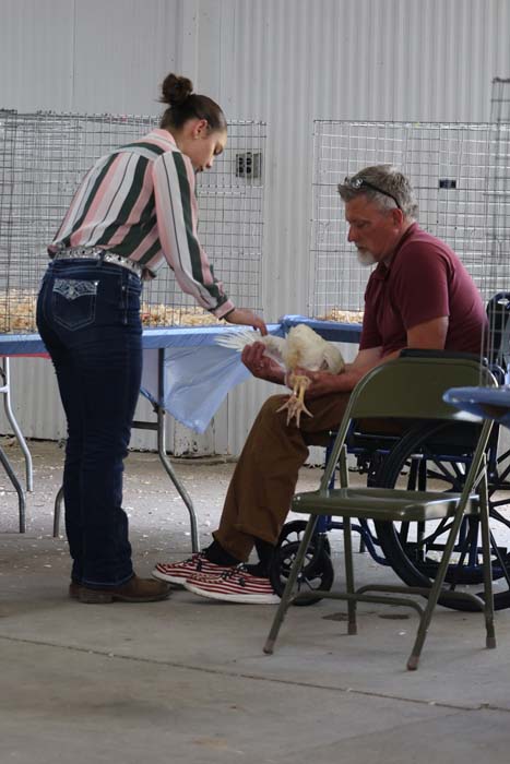 Woman in a striped blouse leans over a table to help a man in a wheelchair holding a small white chicken, with wire cages in the background.