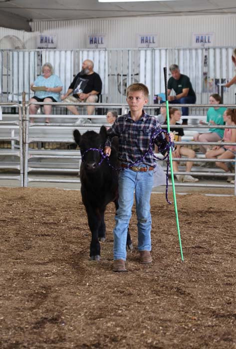 Young boy in a plaid shirt leads a small black pony with purple reins in a dirt arena, spectators seated on bleachers behind him.